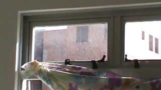 Lewd brunette Lana Roy là đùa giỡn hậu môn và bú một lớn sex han khong che cứng phallus