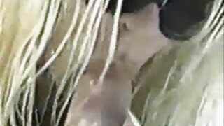 Phim sex viet nam xnxx nguoi mau han quoc